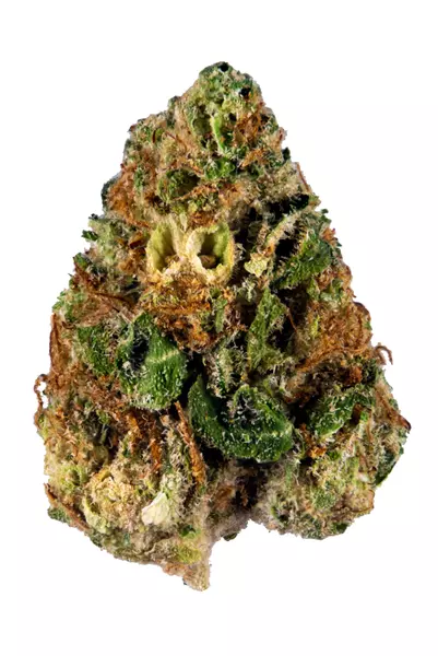 Critical Kush strain