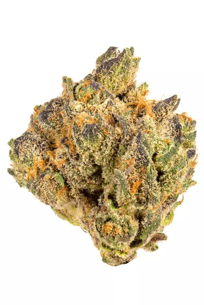 white gushers strain