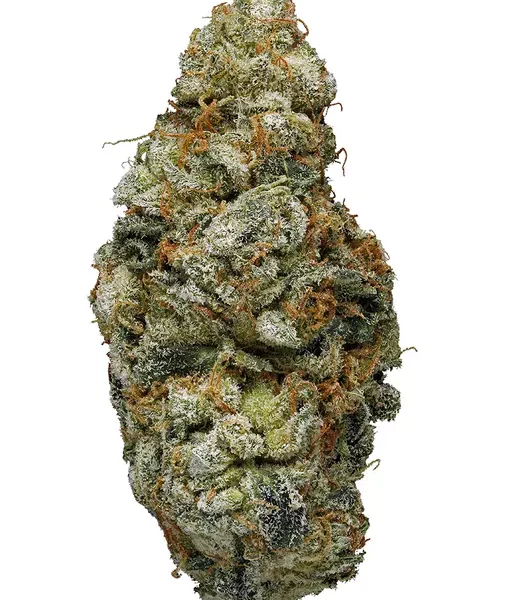 blue cookies strain